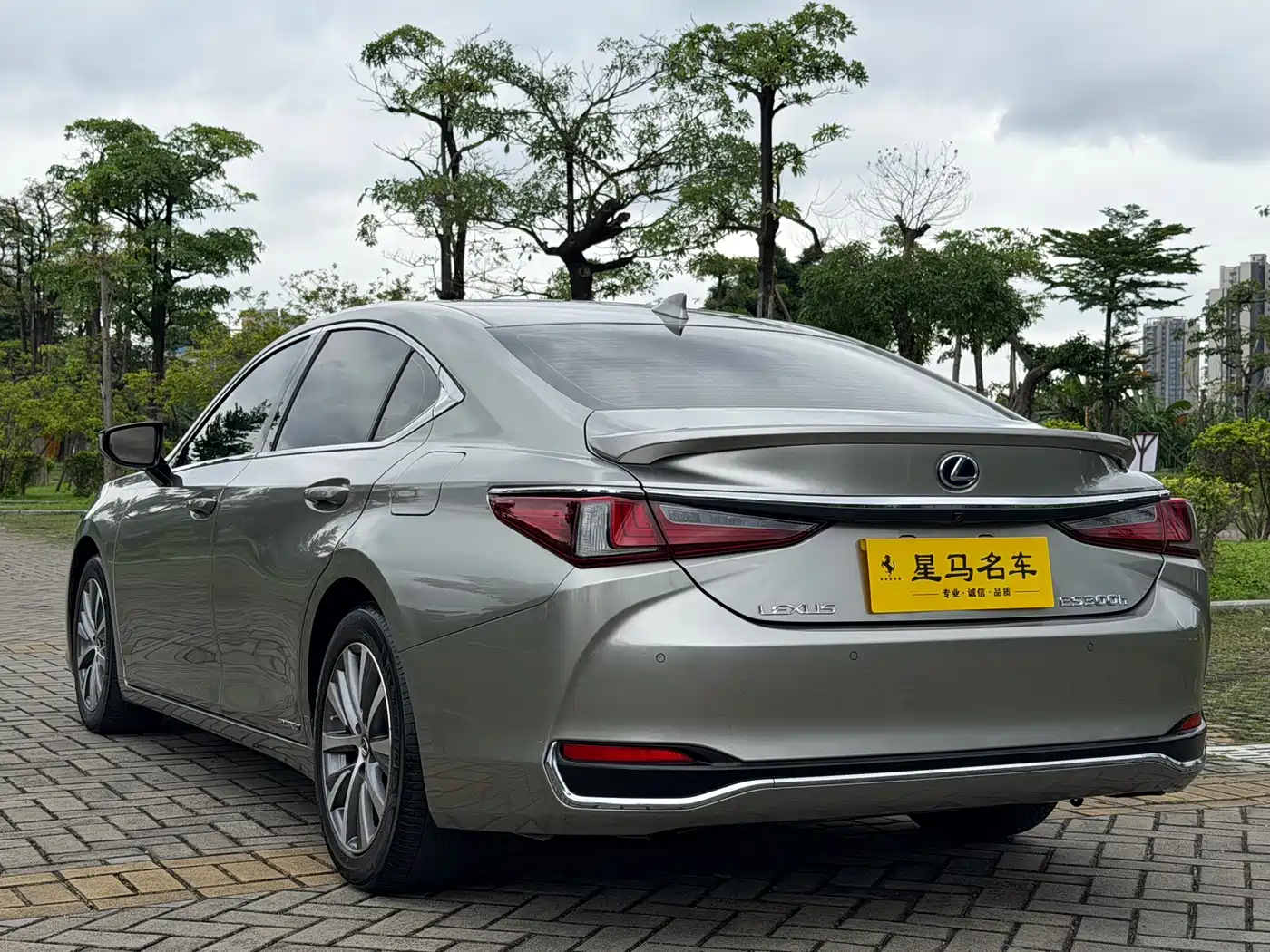 Lexus ES 2018 300h Excellence Edition China V фото 17