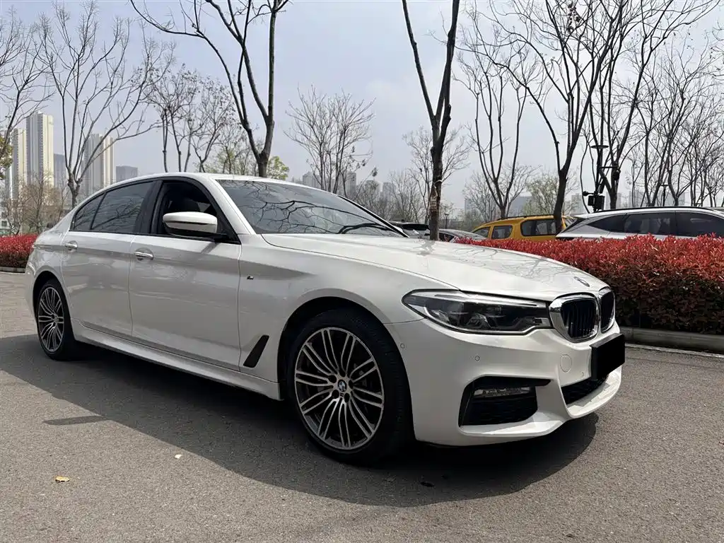 BMW 5 Series 2018 530Li Premium M Sport Package фото 3