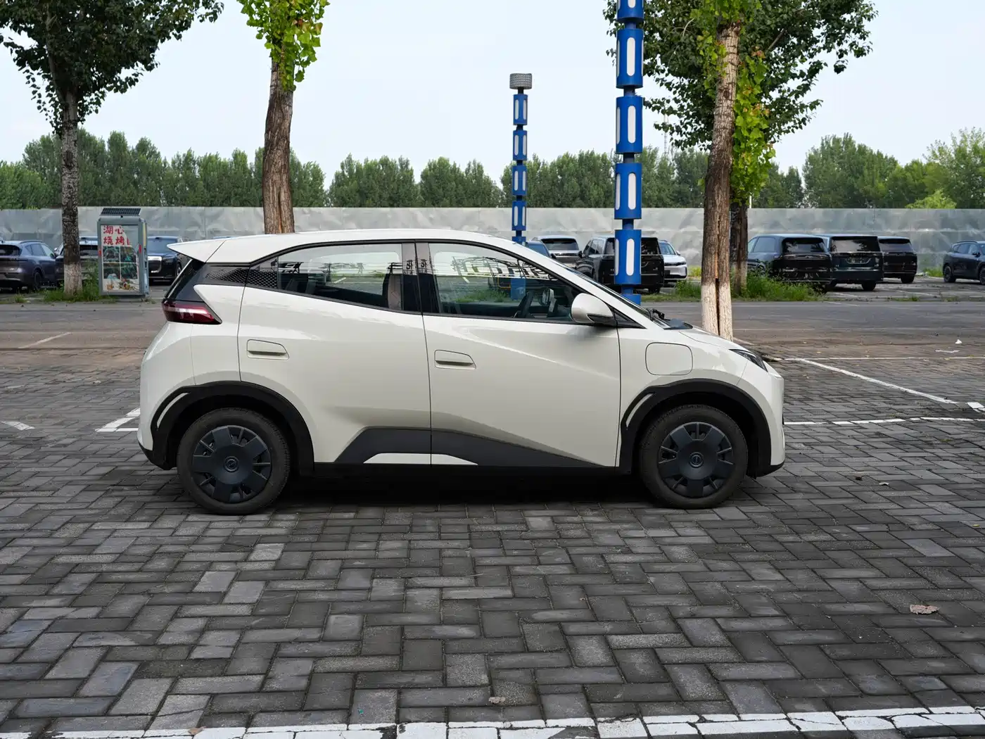 BYD Seagull 2026 2025 Smart Drive Edition 305km Vitality Version