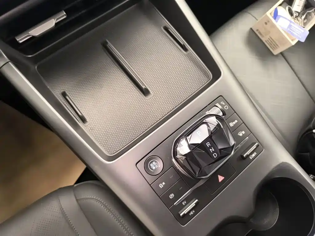 BYD Qin PLUS 2025 DM-i Smart Drive 55KM Leader фото 14