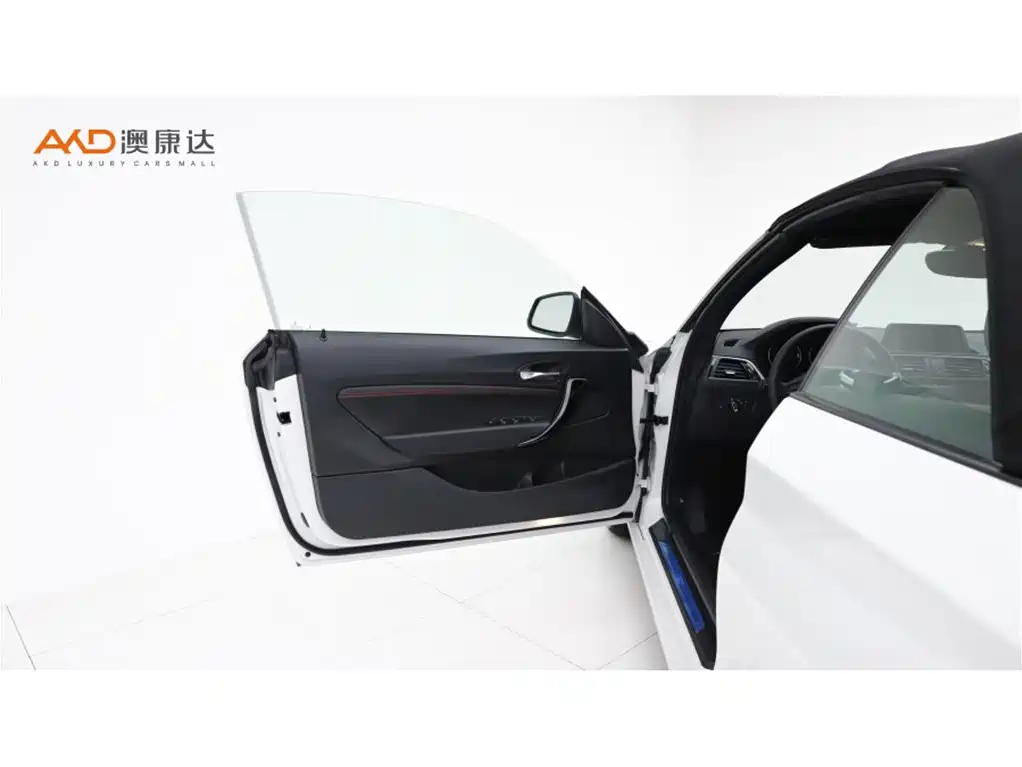 BMW 2 Series (Import) 2019 225i Convertible Coupe Sport Design Package фото 10