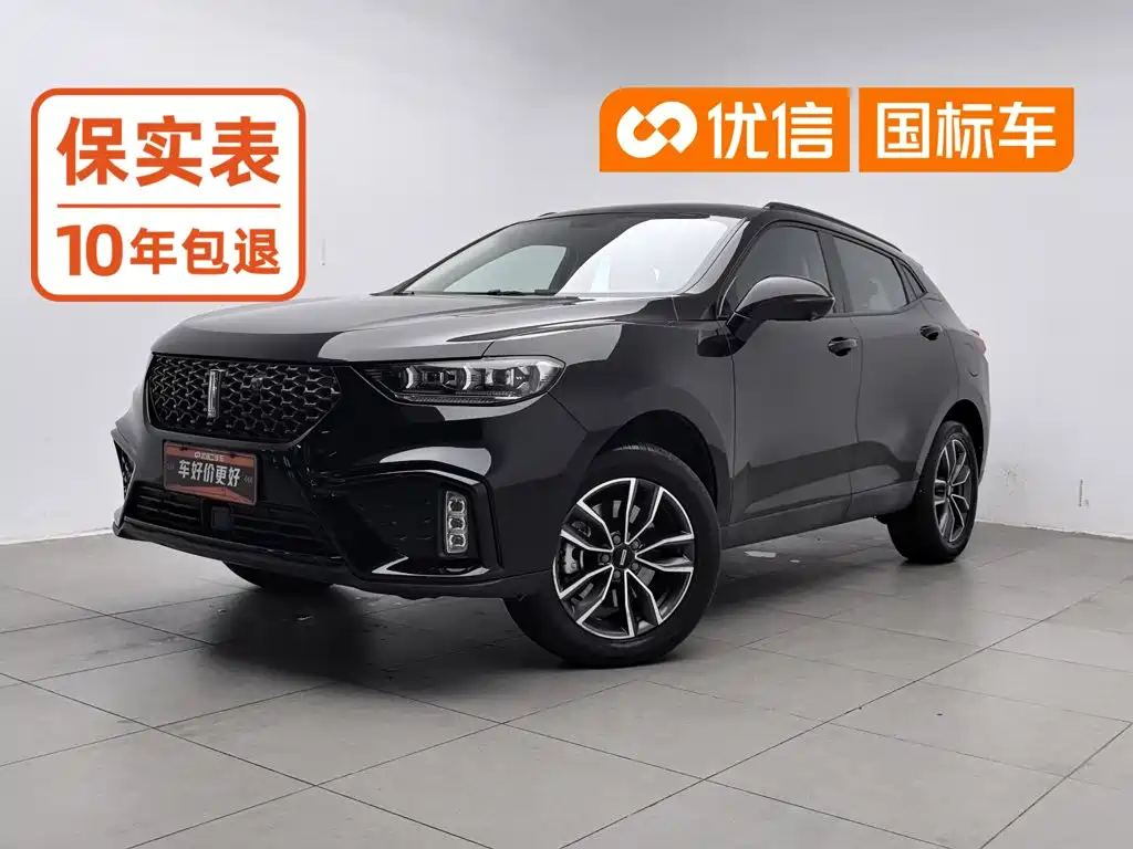 WEY VV5 2020 2020 1.5T 2WD Style Pioneer