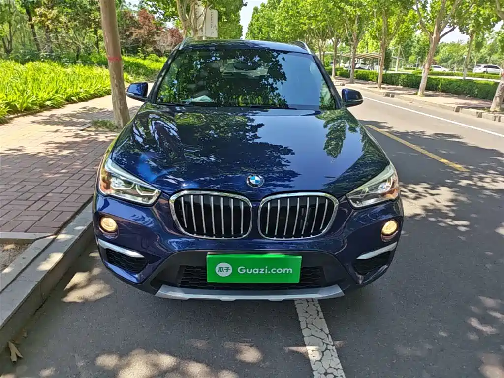 BMW X1 2019 xDrive20Li Premium Model фото 3