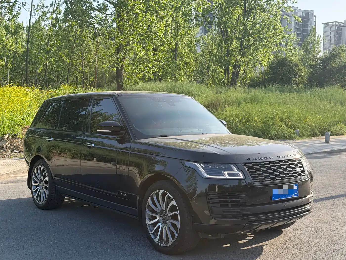 Land Rover Range Rover 2020 3.0 L6 Supreme Creation Extended Version фото 3