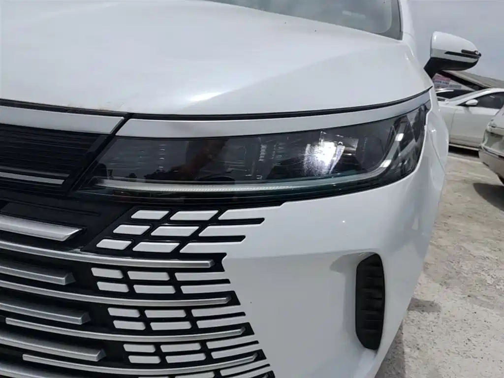 BYD Destroyer 05 2024 Glory Edition DM-i 55KM Luxury фото 24