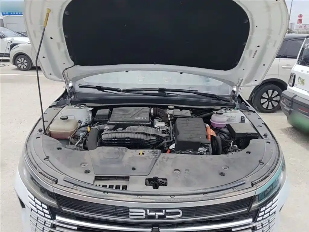 BYD Destroyer 05 2024 Glory Edition DM-i 55KM Luxury фото 20