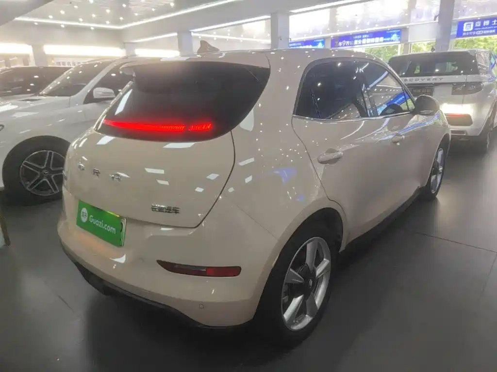 Ora Good Cat 2024 2023 401km Standard Range Luxury LFP