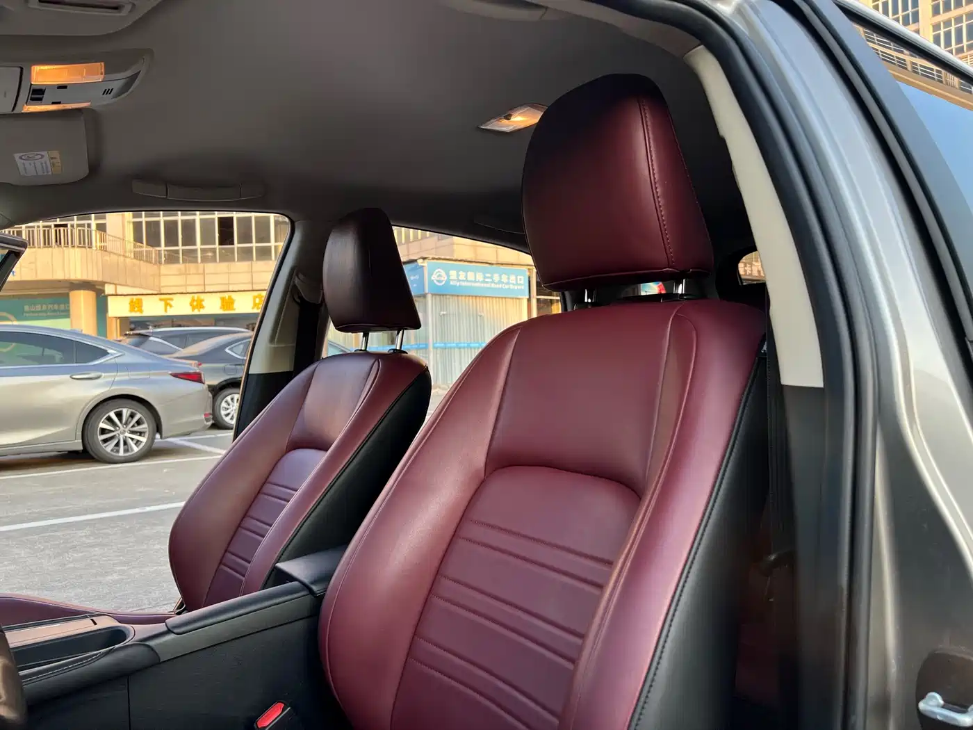 Lexus CT 2017 CT200h Elite Edition Monochrome China V фото 19