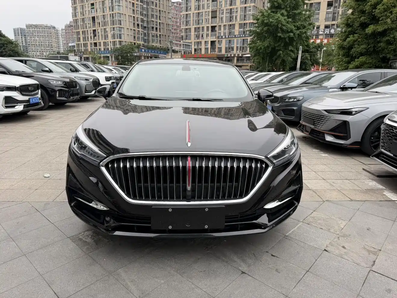 Hongqi H5 2020 1.5T DCT Qi Rhythm Edition фото 2
