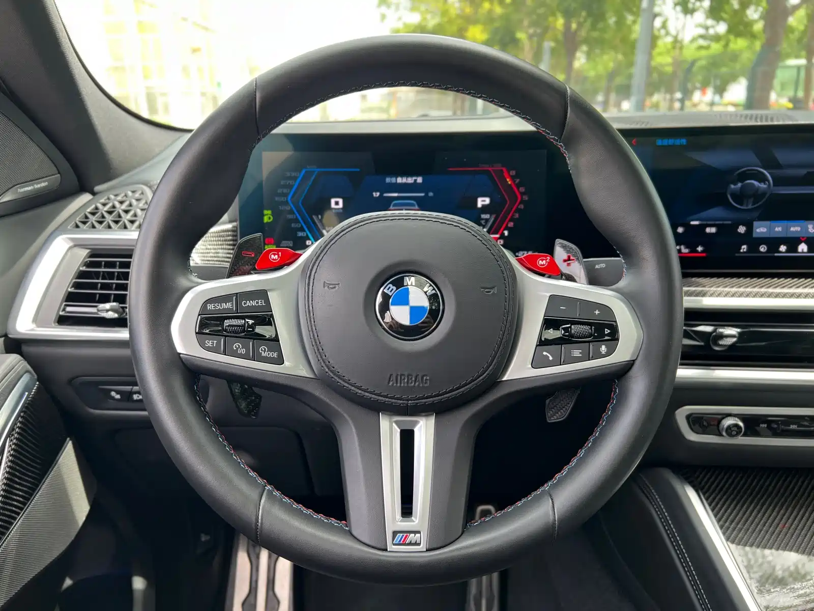 Фото 17 - BMW X6 M
