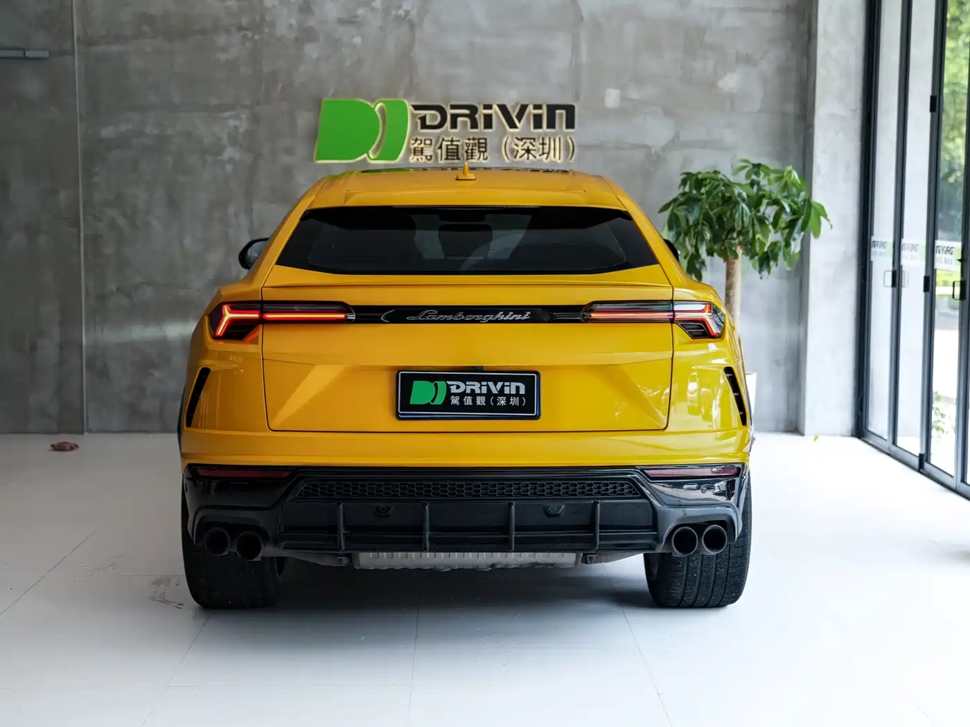 Lamborghini Urus 2019 2018 4.0T V8