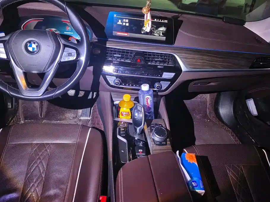 BMW 5 Series 2020 530Li Leading M Sport Package фото 12