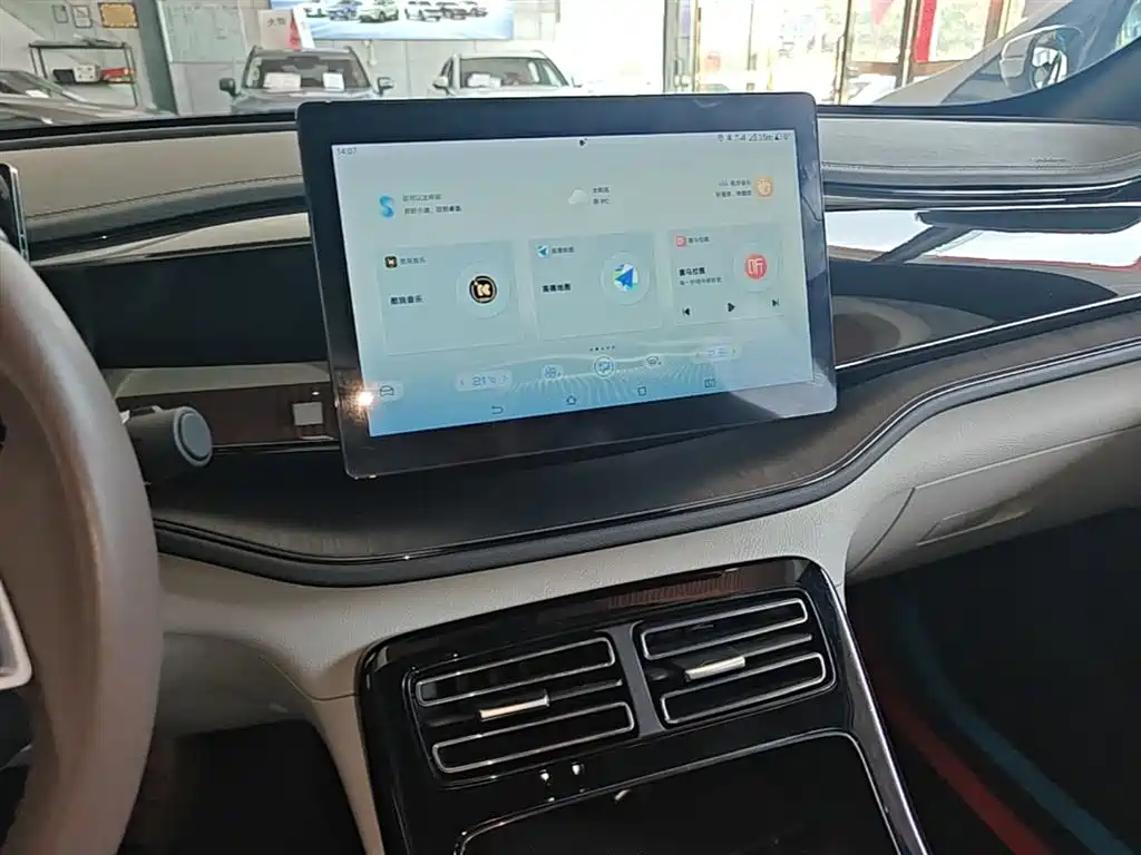 BYD Qin PLUS 2021 DM-i 55KM Premium фото 13