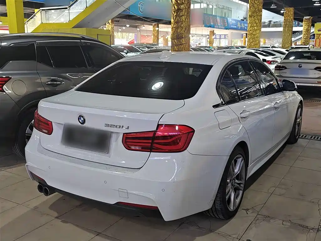 BMW 3 Series 2019 320Li M Sport Package фото 7