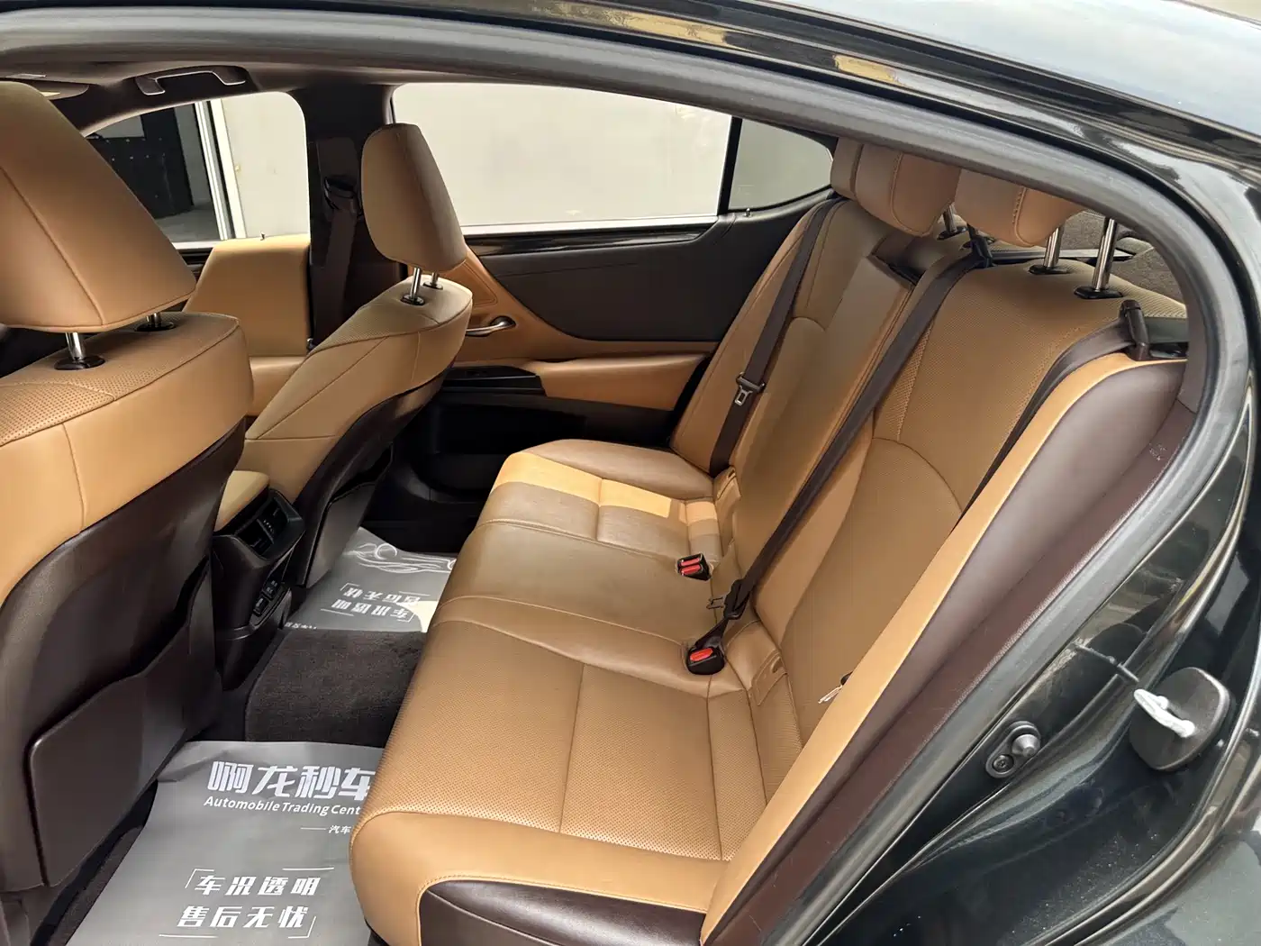 Lexus ES 2020 200 Excellence фото 9