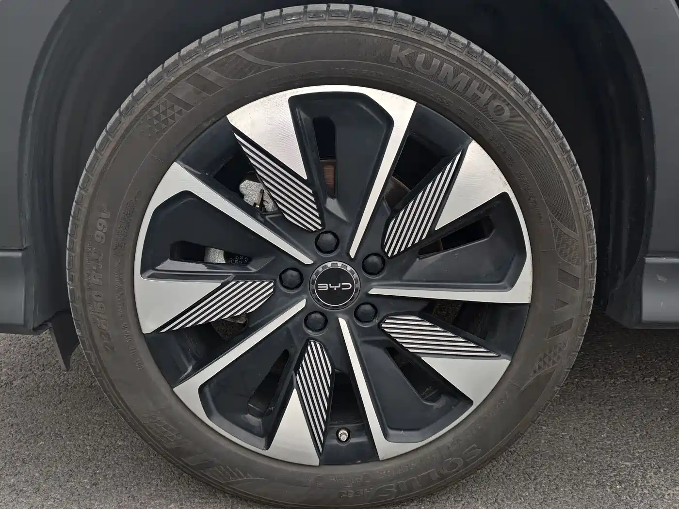 BYD SONGJIANG NEW ENERGY