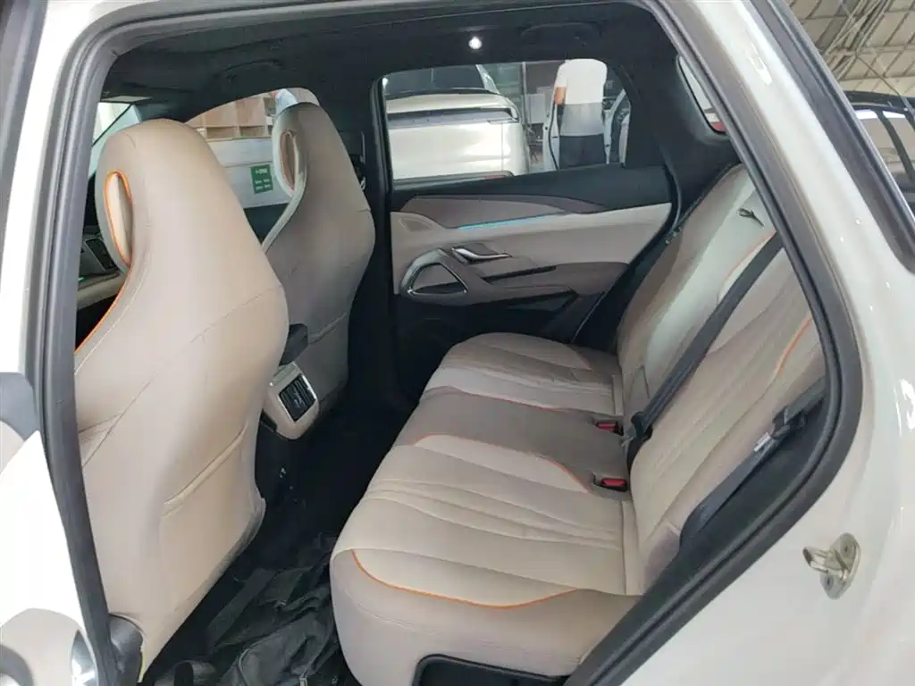 BYD Song Pro New Energy 2023 Champion Edition DM-i 110KM Excellence фото 17