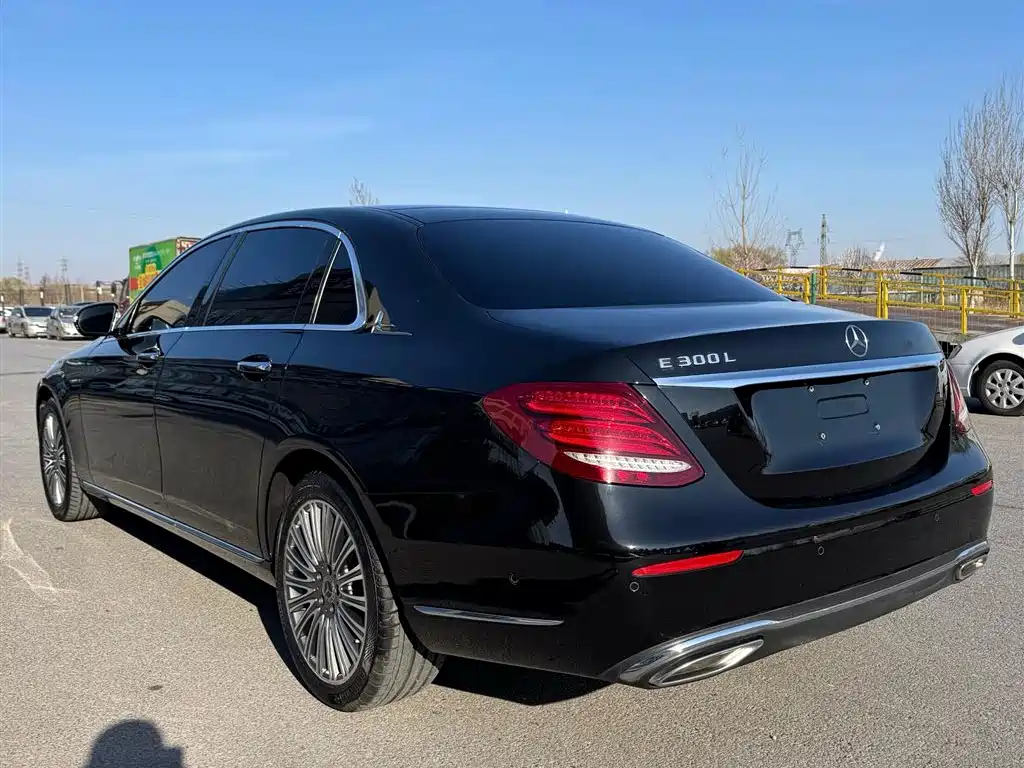 Mercedes-Benz E-Class 2019 E 300 L Fashion фото 3