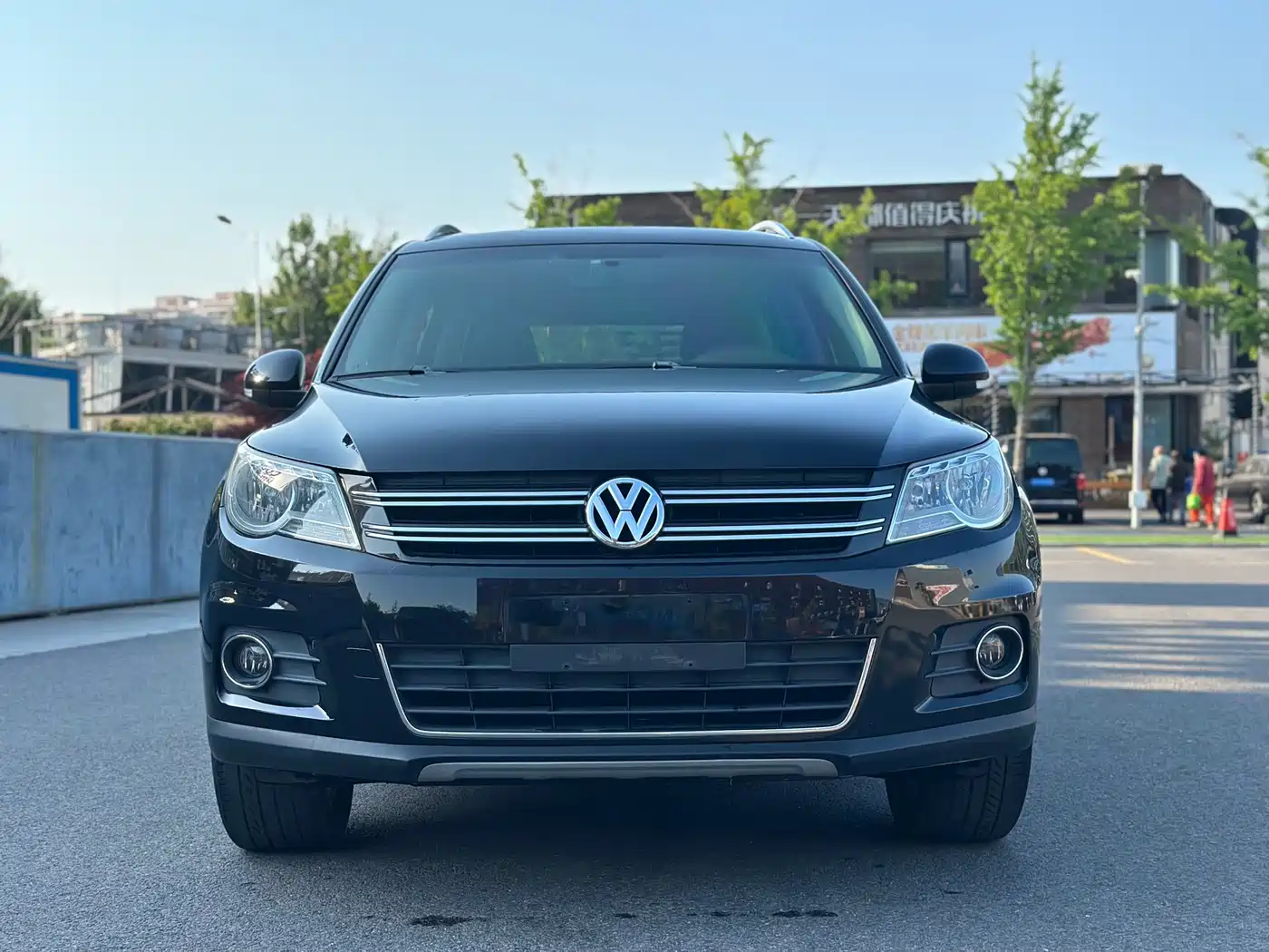 Volkswagen Tiguan 2012 2.0TSI Automatic 4WD Elite Edition фото 2