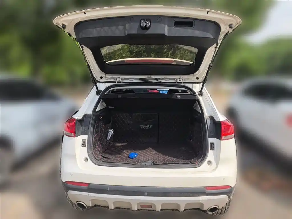 Haval H2s 2018 Blue Label 1.5T DCT Luxury Model фото 10