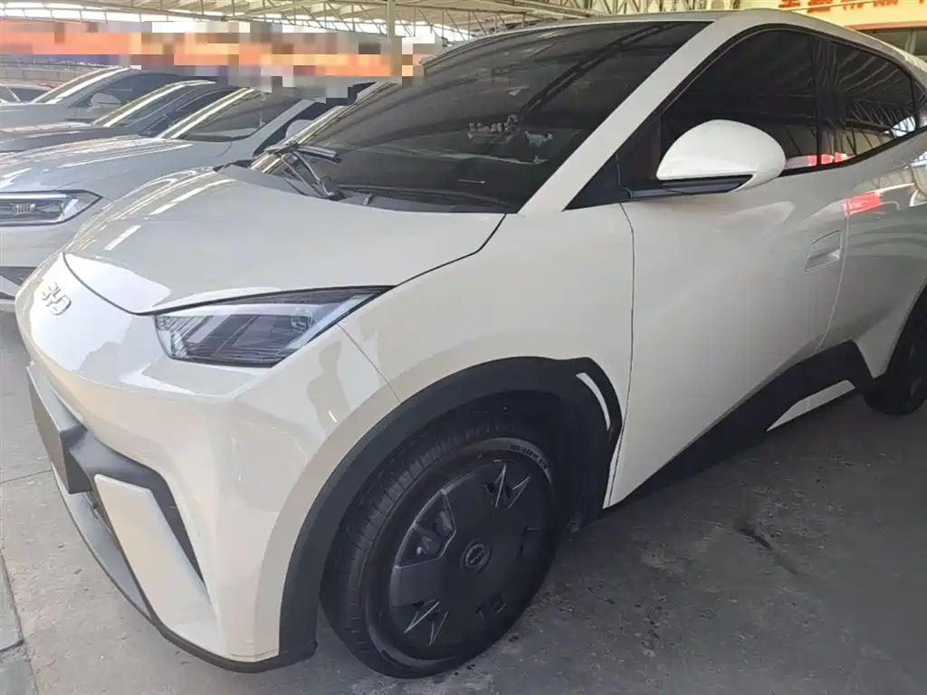 BYD Seagull 2024 Glory Edition 305km Vitality Edition