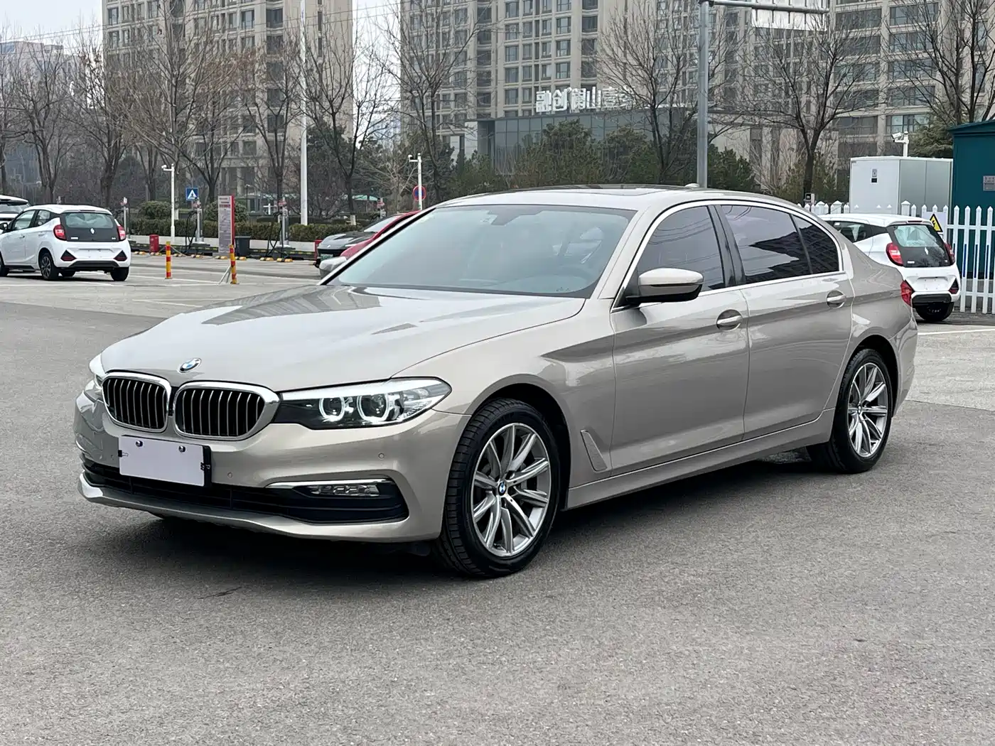 BMW 5 Series 2018 528Li Launch Special Edition