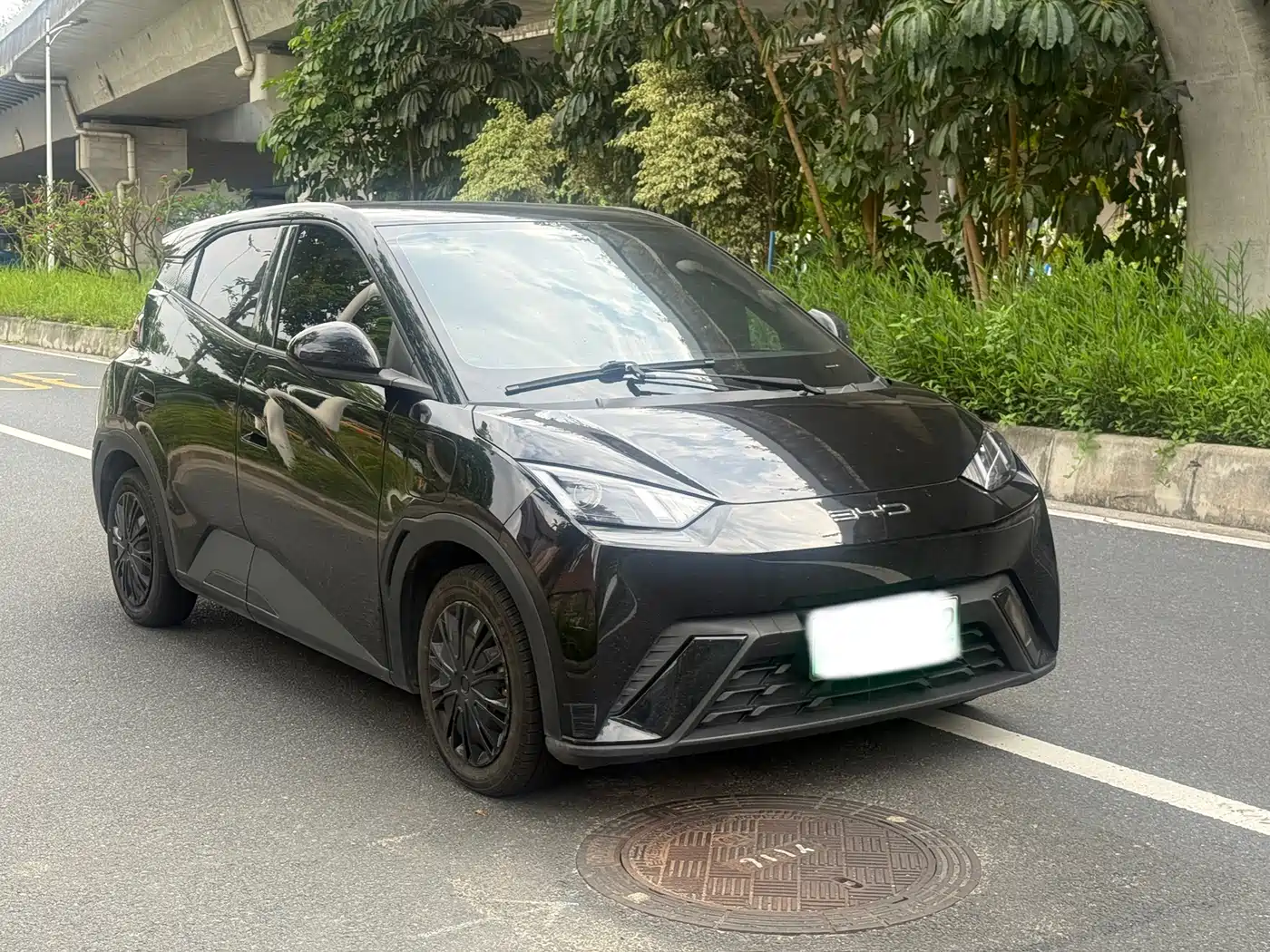 BYD Seagull 2024 Glory Edition 305km Vitality Edition фото 3