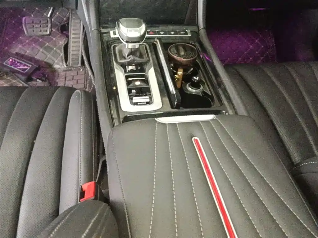 Hongqi H5 2024 2.0T Automatic Smart Connect Flag Smooth Edition фото 14