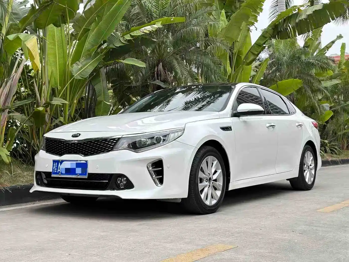 Kia K5 2016 1.6T Automatic LUX