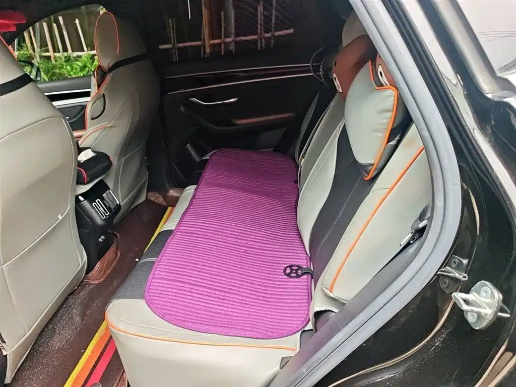 BYD Song PLUS 2020 1.5T Automatic Premium фото 15