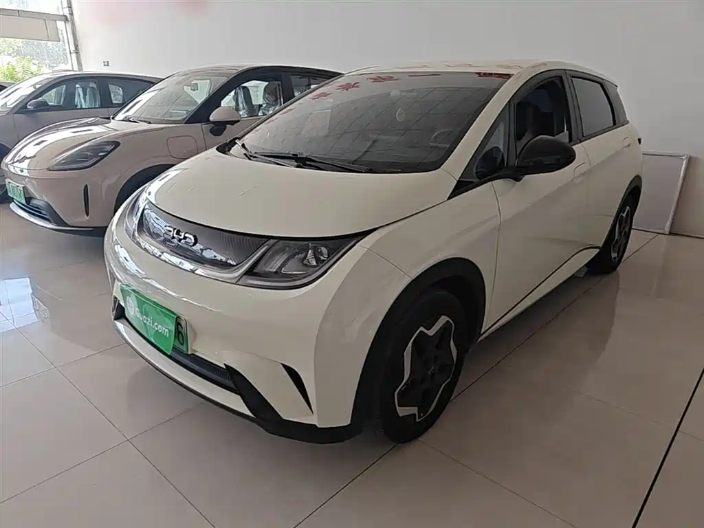 BYD Dolphin 2025 420km Vitality Edition