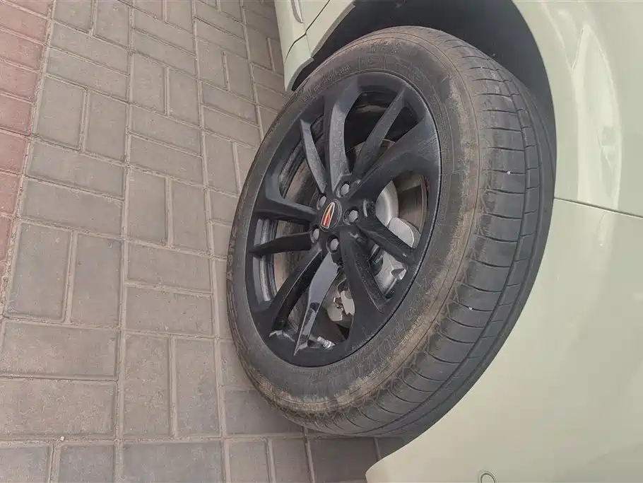 Hongqi HS3 2023 2.0T 4WD Achievement Edition фото 6