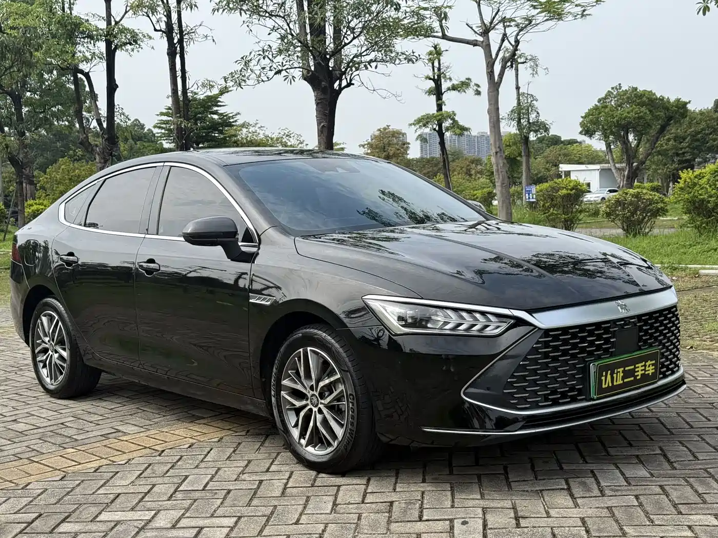 BYD Qin PLUS 2021 DM-i 120KM Flagship фото 3
