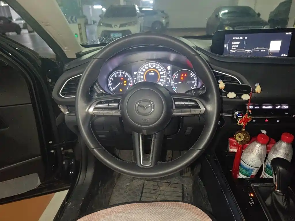Mazda CX-30 2021 2021 2.0L Auto Elegant Joy Type