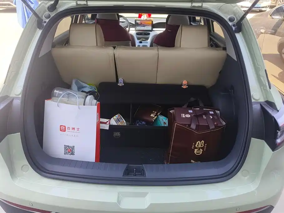 Geely Galaxy Starry Wish 2025 310km Youth Edition фото 4