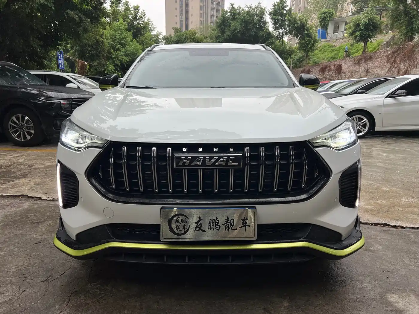 Haval Chitu 2023 2022 Power Edition 1.5T Purple Copper Rabbit
