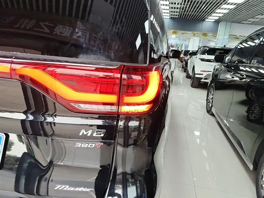 GAC Trumpchi Trumpchi M8 2021 Master Series 390T Ultimate Edition фото 8