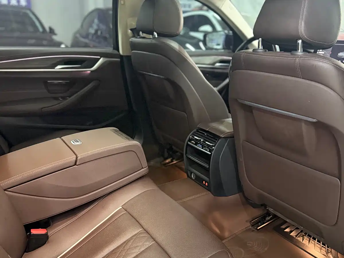 BMW 5 Series 2021 530Li Leading Luxury Package фото 14