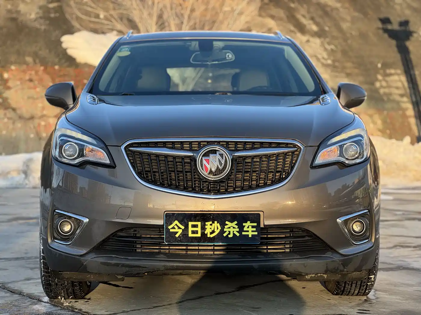 Buick Envision Plus 2019 20T 2WD Elite Type China V фото 2