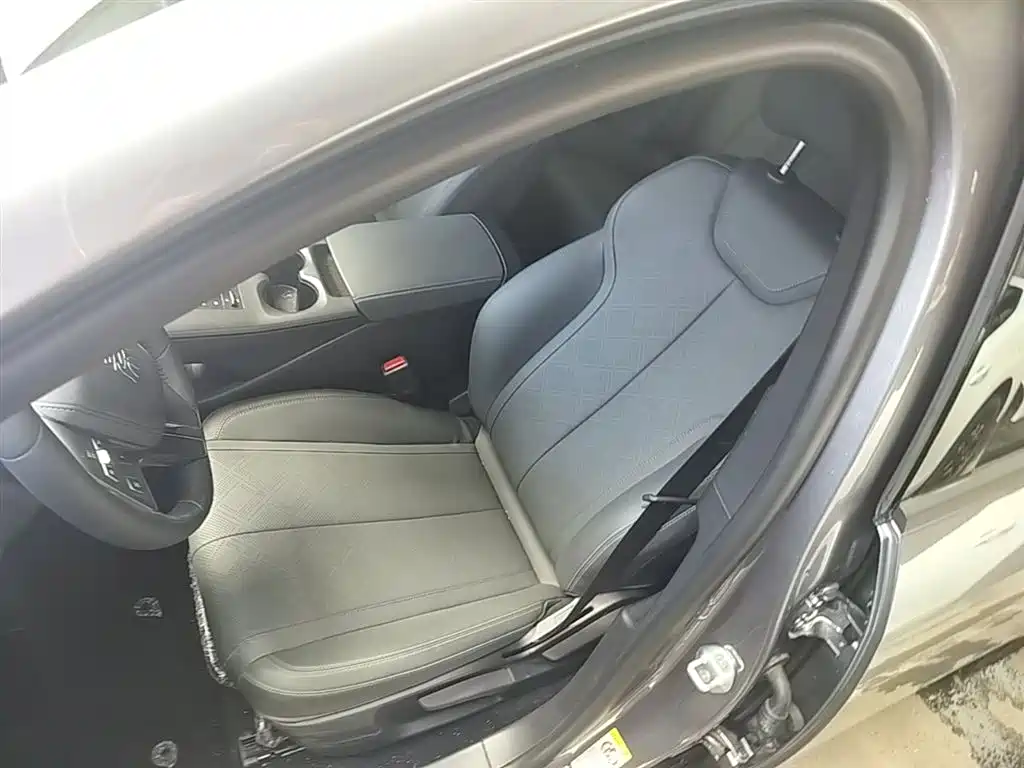 BYD Qin PLUS 2025 DM-i Smart Drive 55KM Leader фото 15
