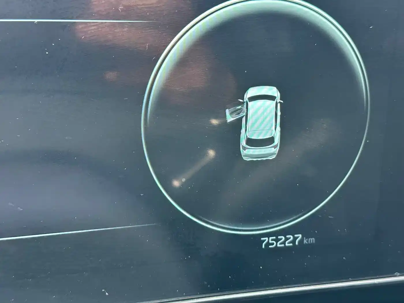 KIA LION PLATINUM EXPANDS THE WORLD