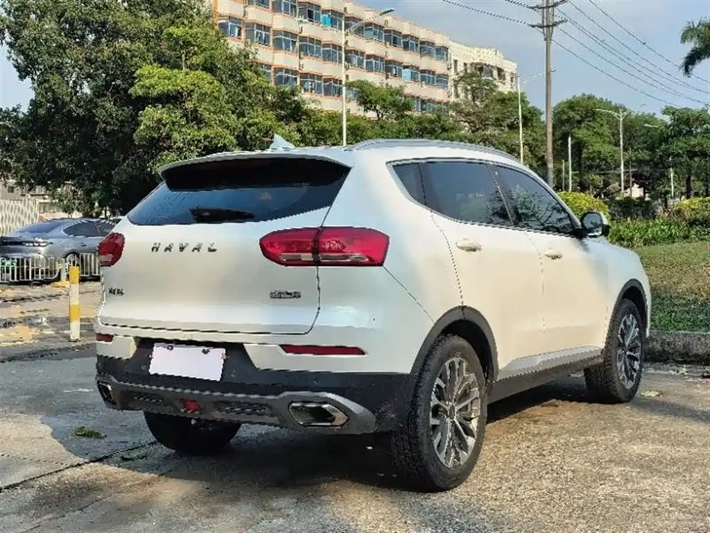 Haval H6 2020 1.5GDIT Automatic Platinum Champion Edition фото 9