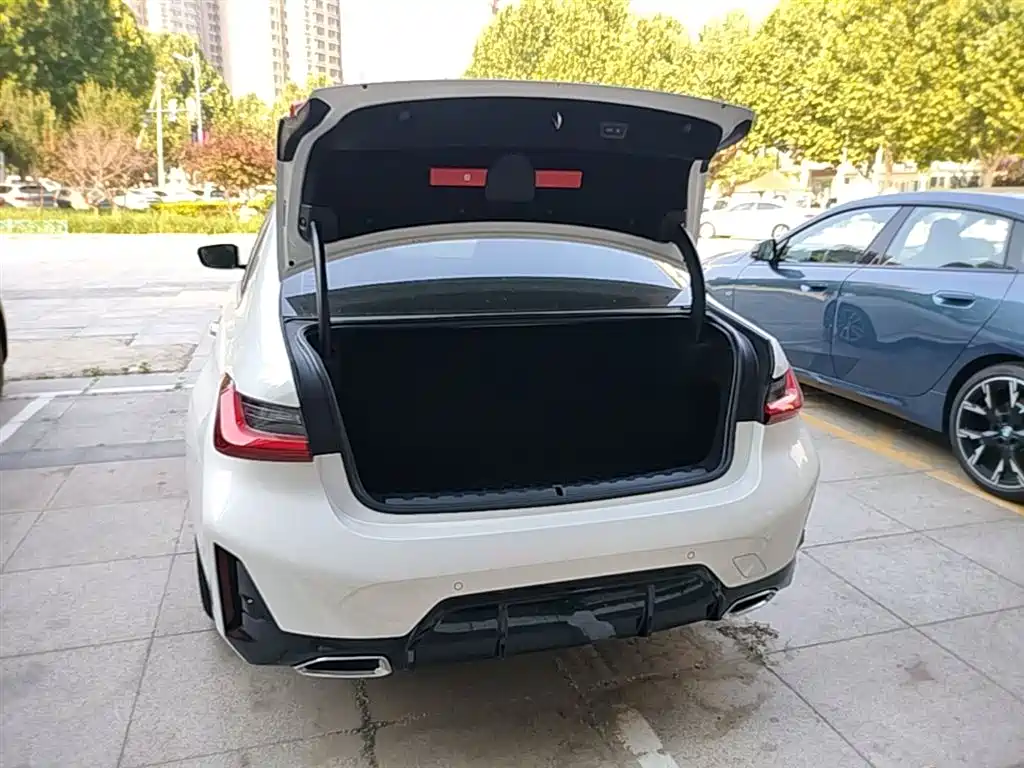 BMW 3 Series 2025 325Li M Sport Package фото 19