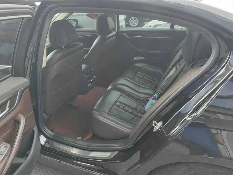 BMW 5 Series 2019 530Li Leading Luxury Package фото 11
