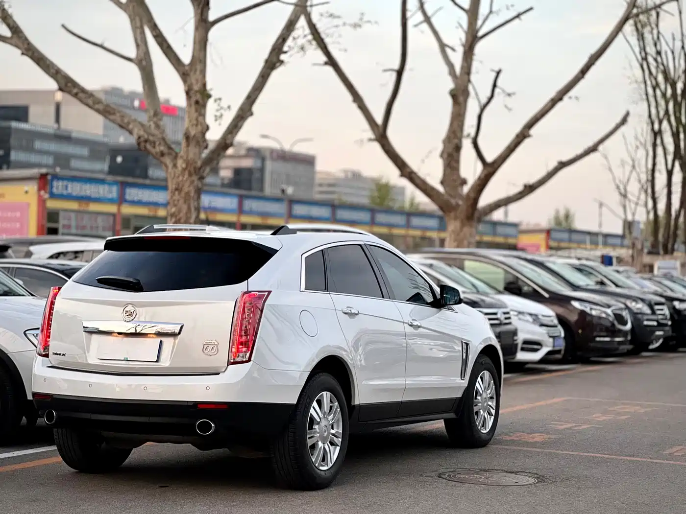 Cadillac SRX 2014 3.0L Elite Model фото 8