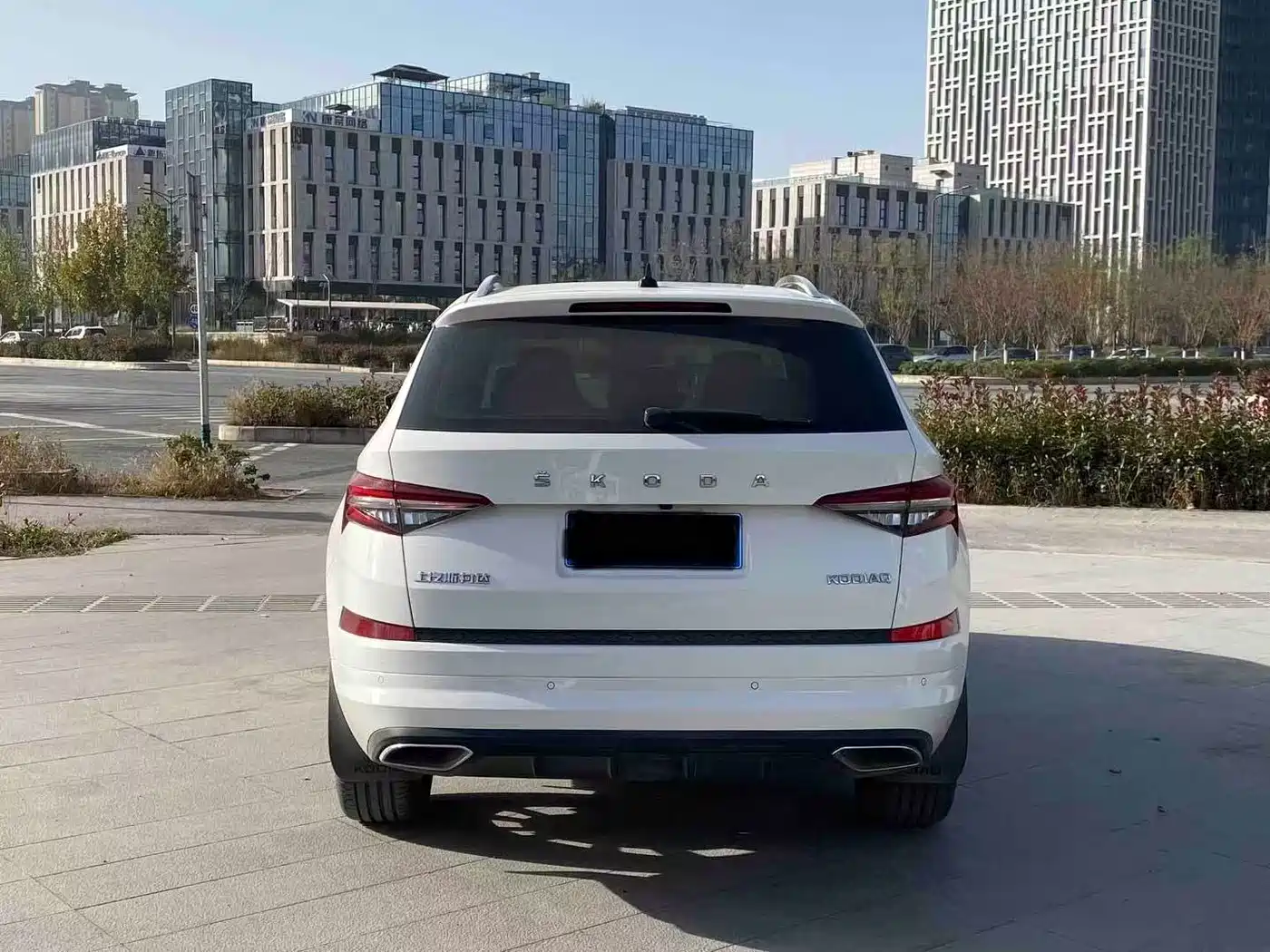 Škoda Kodiaq 2022 TSI330 7-Seater FWD Luxury Edition фото 8