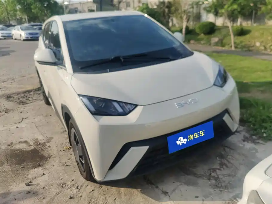 BYD Seagull 2024 Glory Edition 305km Vitality Edition
