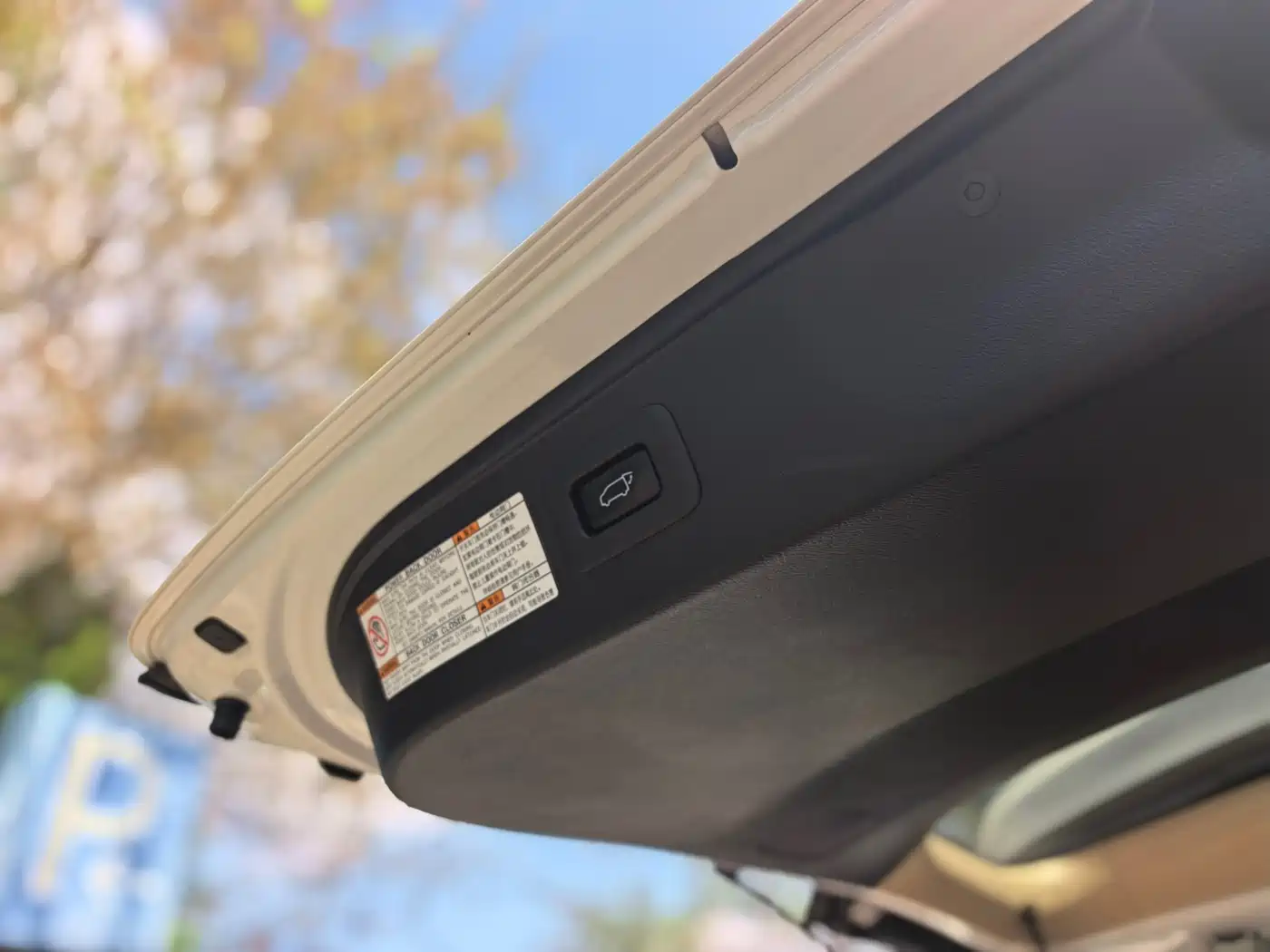Lexus LX 2019 570 Peak Special Edition фото 31