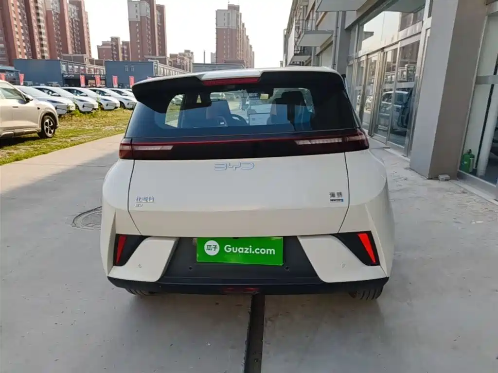BYD Seagull 2025 Smart Drive Edition 305km Freedom Version фото 6