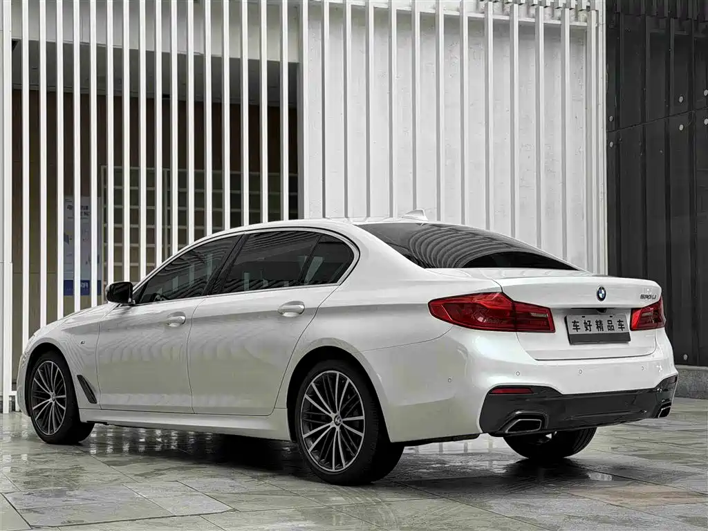 BMW 5 Series 2020 530Li Exclusive M Sport Package фото 15